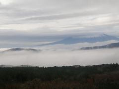 2009年11月　箱根フリーパスを利用して紅葉（？）の箱根　１日目　雨の箱根