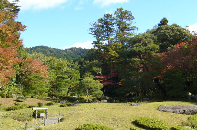 京都の名庭園といわれる１００寺院の写真集です。<br />「京都名庭100選」の一覧リストはコチラをご覧下さい。<br />　→http://shokyoto-kyoto.seesaa.net/<br /><br />華やかな「永観堂」から「南禅寺」の前を通り過ぎると、まるで雰囲気の違う「無鄰庵」（むりんあん）に到着します。<br />明治の元老である「山県有朋」（やまがたありとも）の別荘で、隣家のない閑静な場所という意だそうです。<br />頭を垂れて入るような狭い門をくぐると、いきなり度肝を抜かれるような広大な風景が目に飛び込んできます。<br />山県有朋は、東京の「椿山荘」と小田原の「古稀庵」の所有者でもあり、これを「山県三名園」というそうで、軍国主義、帝国主義者とも呼ばれ、あまり評判はよくないですが、意外と和歌や漢詩、書、茶道と共に、造園好きとして知られています。<br />「無鄰庵」も有朋自らの設計・監修と、小川治兵衛独特の、東山を背景とし疏水の水を巧みに使った見事な庭園になっています。特に、醍醐寺三宝院の滝を模したという三段の滝からカエデとアカマツの間を縫うように琵琶湖の水が池へ流れてくる様は、まさに東山から水が流れ込んでくるかのような、ダイナミックな景観になっています。<br />中にある煉瓦造の洋館は、山県有朋と伊藤博文、桂太郎、小村寿太郎の4人が日露開戦を決めた所だそうで、その当時の趣が生々しく残っています。<br />伊藤博文とは対照的な評価の有朋ですが、一個人邸の庭のために疏水の水を強引に引き入れたという話を聞いても、有朋の権力がプンプン臭ってくる気がしないでもありません。<br /><br />「琵琶湖疎水記念館」を挟んだところにある「白河院」（しらかわいん）は、庭園の周辺がかつて白河天皇の法勝寺の境内にあたることから、白河院の名称が付けられたそうです。<br />この一帯で数少ない公開庭ですが、もともと平安時代の公卿の別荘で、呉服業を営む下村家の所有となり、現在は私立学校共済の保養施設となっています。<br />庭園は、琵琶湖疎水と東山を背景にした「植治スタイル」の池泉廻遊式庭園で、池を中心にアカマツやイロハモミジの築山があり、特にカエデの多いこの時期の眺めは素晴らしい。<br />ここは入場料もとってないので、こういうプライベートな庭園の維持管理は大変だと思いますが、この不景気で絶滅することのないよう、いつまでも保存されることを望むのみです。<br /><br />