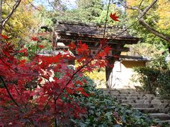 ２００９年京都紅葉情報１２（大原寂光院）