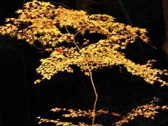 近江の紅葉の名刹｢永源寺｣を訪ねて