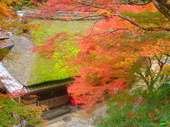 京都　嵯峨野　2009年11月22日の紅葉