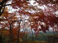 筋湯温泉・九重温泉郷の旅行記