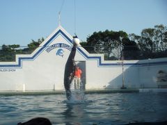 いとこ達としながわ水族館見学☆　