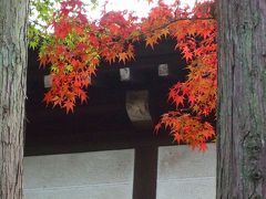 錦繍の古都・寺巡り！＜下賀茂神社・東福寺＞