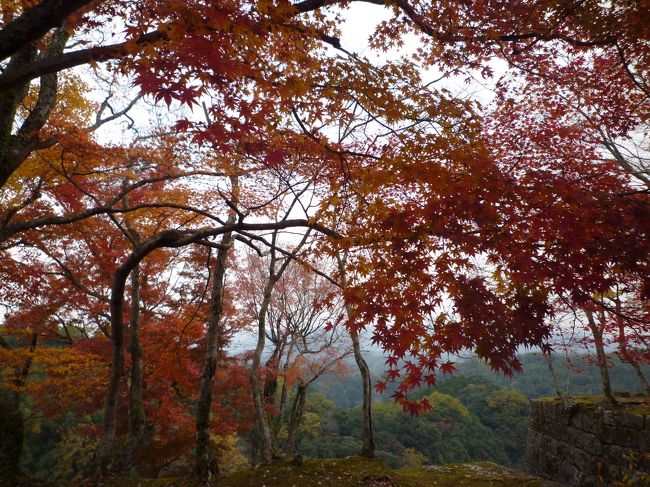 三連休を利用して一泊だけの温泉旅行に・・・ここは「寒の地獄」と言う所ですが爺様には天国のような温泉でした。<br />ついでに、竹田城址で紅葉を見てきました。