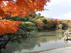京都を歩く(39) 秋の紅葉めぐり　嵐山～天龍寺，常寂光寺を訪ねる～