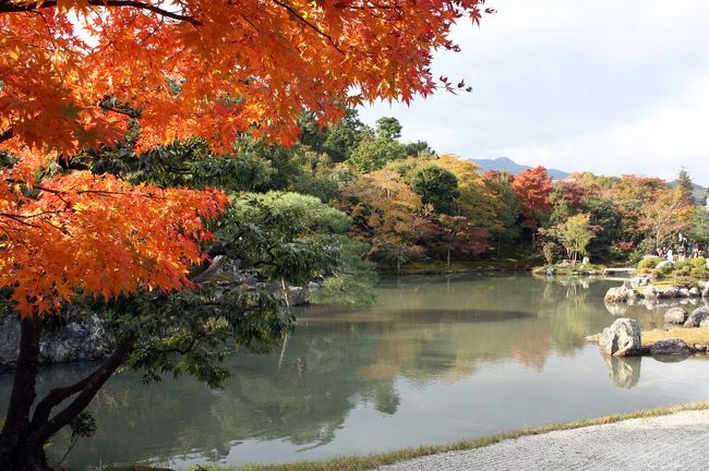 秋の紅葉めぐり，第四弾です。<br />東福寺から嵐山へ移動し，天龍寺と常寂光寺を訪れました。<br />ともに見頃を迎えており，沢山の人でにぎわっていました。<br /><br />