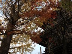 【京都紅葉２００９】 紅葉越しに見る荘厳な三重塔 「真如堂（真正極楽寺）」　　工事中