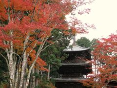 紅葉の湖南三山巡り　その②　常楽寺