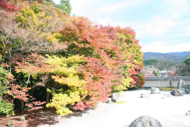 京都に住みながら行った事が無い場所だったので今回行ってみることに！！<br />季節的に少し早いか、ちょうど良いか微妙でしたが。。。