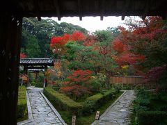 錦繍の古都・寺巡り！②＜東福寺（方丈園・即宗院＞