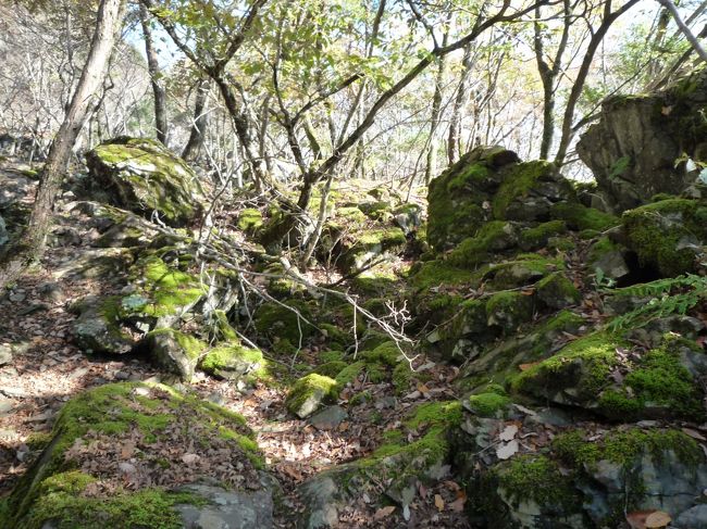 高速を板野ＩＣで降りて１９２号線、さらに県道１６号線を進み上勝町に入った。<br />県道から樫原方面に入る道が分からずかなり行き過ぎて戻った。<br />山沿いにある小さい標識を見落とさないようにしないと分かりにくい。<br />登山口には駐車スペースが無く少し下がった所に先客があったのでそこより少し下がった所に駐車し登山。