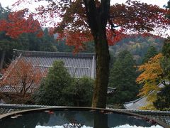 紅葉の永平寺