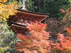 奈良と京都の紅葉-１日目（浄瑠璃寺と平城宮跡）
