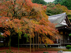 雷山千如寺大悲王院と晩秋の田園を訪ねて