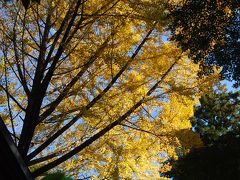 神明社を訪問する