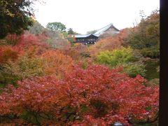 京都(1)　秋の東福寺