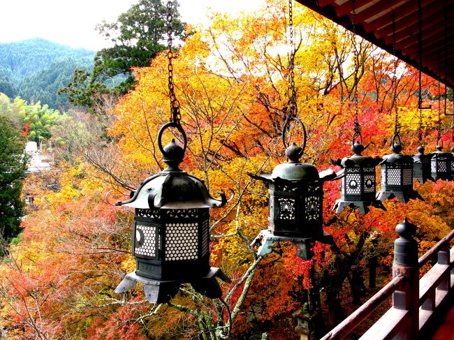 紅葉の名所　談山神社を訪ねました。<br />平日にもかかわらずにたくさんの訪問者がすばらしい紅葉を堪能されていました。<br /><br />中臣鎌足と中大兄皇子が、西暦６４５年の５月にこの地、多武峰（とうのみね）の山中で<br />「大化改新」の談合を行い、後にこの山を「談い山」「談所ヶ森」と呼び、談山神社の社号の起こりとなったそうです。