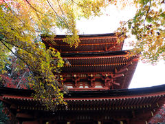 当尾の里を歩く　岩船寺・浄瑠璃寺、そして石仏　京都旅行１日目