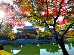 平等院と興聖寺　京都旅行１日目