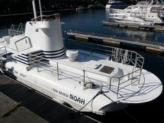 2009年　エクシブ初島のイルミネーションと海中展望船ノア