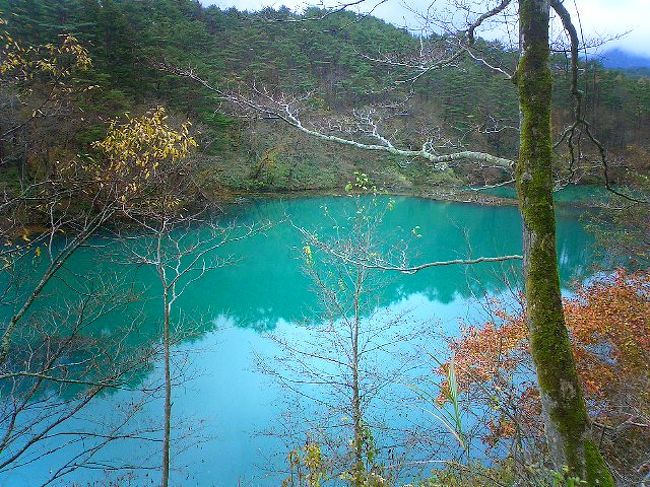 午後に天気が崩れると聞き、朝早めに猪苗代方面に向かい、五色沼へ。ハイキングコースを歩くのは2歳の子供にはきついし雨になるだろう、とのことで、最初の沼だけ見ることに。でもやっぱり歩いてみたくなって最初の2沼分だけ歩いて引き返した。ほんとに色が違った。引き返してしばらくして雨がポツポツ。戻った頃には大雨になっていたので戻って正解。傘も持っていなかったし・・・。<br />子供たちが大きくなったらハイキングで全沼制覇しよう、ということになったけど実現するだろうか？？