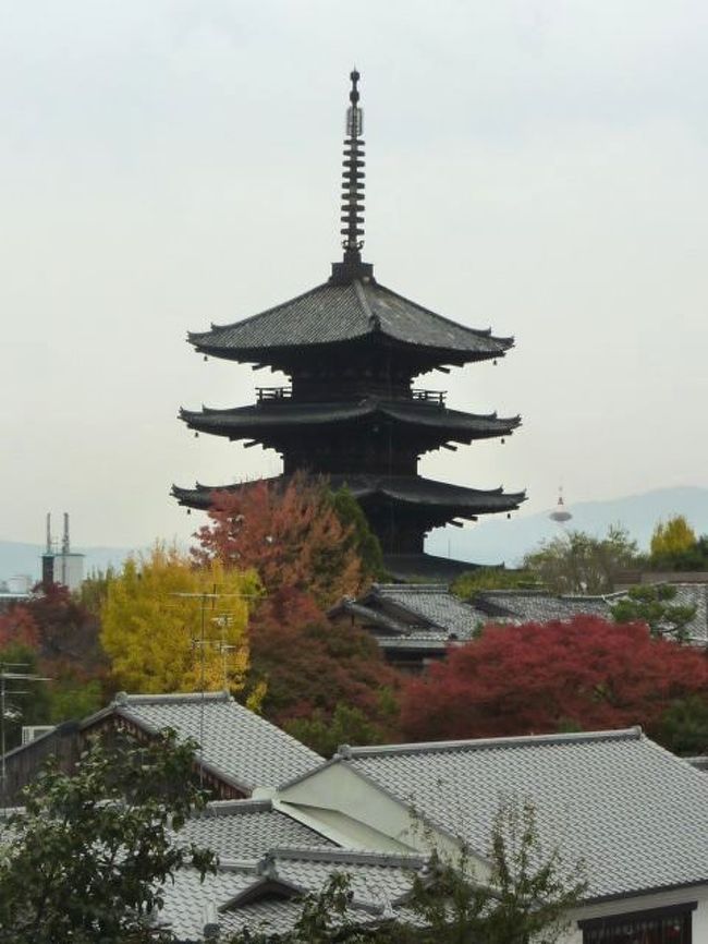 京都一予約の取りにくいといわれる、祇園さゝ木で昼食をした後、<br />高台寺方向へ向かいましたが、途中で雨が降り出したので、<br />外の紅葉見学は中止しました。