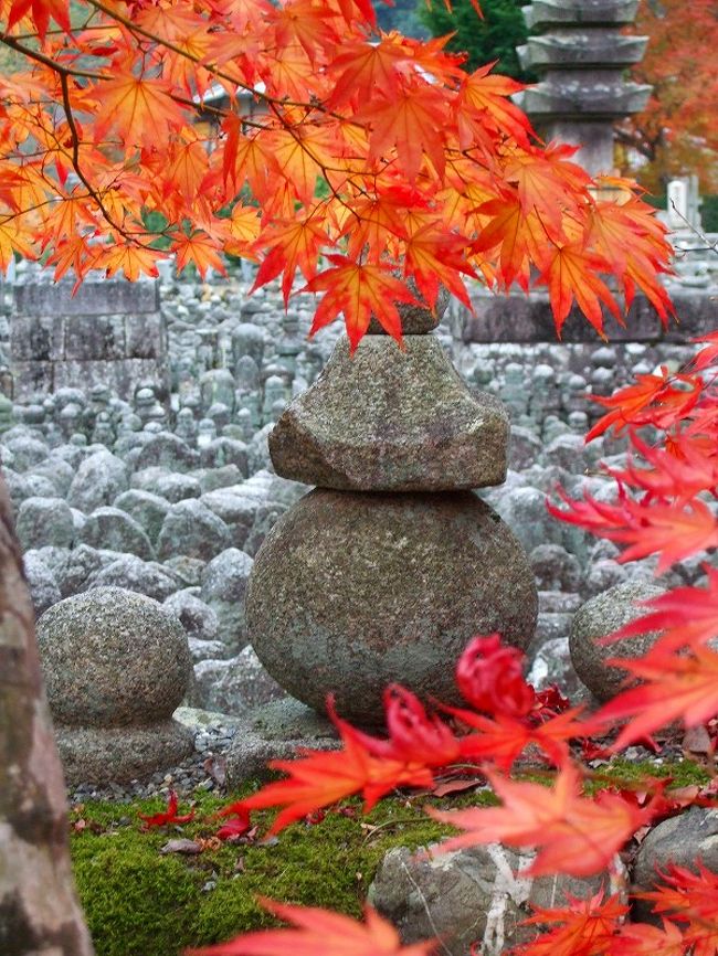 ＜寺巡り＞<br />下賀茂神社～東福寺（方丈園）～即宗院～龍吟庵～妙心寺～化野念仏寺～鳥居本～広隆寺～大覚寺<br /><br />念願の妙心寺「法堂天井雲龍図」を堪能した後は嵯峨野へと向かいます。<br />＜化野念仏寺＞<br />弘仁2年（811年）、空海が五智山如来寺を建立し、野ざらしになっていた遺骸を埋葬したのに始まるとされる。法然が念仏道場を開き、念仏寺となる。本尊は阿弥陀如来像（寺伝に湛慶作というが実際の作者は不明）、本堂は江戸時代の正徳2年（1712年）に寂道により再建されたもの。境内の約8000体という夥しい数の石仏・石塔は、明治36年（1903年）頃に、化野に散在していた多くの無縁仏を掘り出して集めたものである。（資料参照）