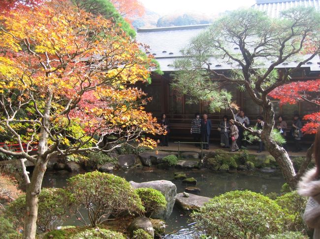 修善寺温泉郷の中央に位置する、古刹・修禅寺　(ゼンの字が違うんです)　の庭園が105年ぶりに一般に公開されました。<br /><br />公開は　2009年11月21日から　11月30日　までの　10日間だけです。<br /><br />テレビや新聞の報道で知った、別名　「東海第一園」　とも称される、東海一の名庭園の誉れ高い庭園の紅葉とやらを、是非見に行きましょうと、おばちゃん二人で日帰りのドライブ遠足に出かけて参りました。<br /><br />朝９時に待ち合わせて出発し、午後６時に帰宅するという、日帰りのドライブ行楽でした。<br /><br />昼食と夕食には蕎麦をいただきました。<br /><br />- - - - - - - - - スケジュール - - - - - - - - -<br /><br />午前11時ちょうど　---　柿田川湧水公園到着、休憩・散策　(30分)<br />午前11半　---　柿田川を出て修善寺へ。<br />正午　---　修善寺到着 (名物のワサビ蕎麦を食べる)<br />午後１時 --- 修禅寺お庭の公開、午後の部に入場。<br />　　　　　　　その後、修善寺町を軽く散策。<br />午後２時　---　修善寺を出て沼津方面へ<br />午後５時　---　スマル亭にて夕食　(そば)<br /><br />- - - - - - - - - 経費総額 - - - - - - - - -<br /><br />東名高速道路　1650円　(片道のみ使用)<br />伊豆中央道　200円　(片道のみ使用)<br />修善寺道路　100円　(片道のみ使用)<br />駐車場代金　400円<br />昼食・蕎麦　1200円　( x 二人分)<br />庭園観覧料　200円　( x 二人分)<br />はちみつソフト・クリーム　300円　( x 二人分)<br />スマル亭のそば　450円　( x 二人分)<br />おみやげ代・干物など　(3000円くらいかな)<br /><br />日帰り旅行代、おひとり様・約3000円　+　おみやげ代、です。