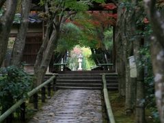 京都に集合！（7）　七つの茶室と斜め編み竹垣の光悦寺（こうえつじ）