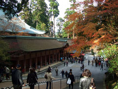 ｏ●紅葉●ｏ 世界遺産「比叡山延暦寺」日本仏教の母山で望む2000本の紅葉