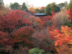 ２００９年秋　紅葉を求めて・・・【東福寺】