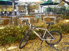 2009年11月　自転車で行ってみようかな　神宮外苑　その２