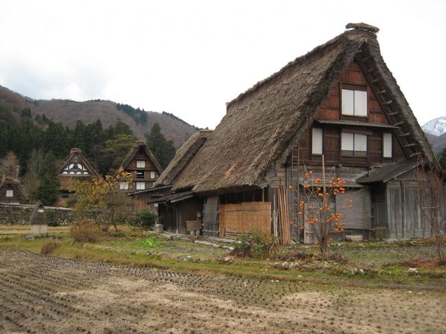 読売旅行の激安日帰りツアーで<br />飛騨高山・白川郷へ行って来ました。<br /><br />朝５時３０分出発、帰りは２２時着<br />往復約８６０キロという走行距離で<br />実際観光するのは、高山市内１２０分と白川郷９０分のみ。<br />その他１か所お土産屋さんに寄りましたが<br />その他はほぼバスの中。ドライブ好きなのでそんなに苦では<br />ありませんが、たまに足を曲げ伸ばししないと<br />エコノミークラス症候群にかかりそうな感じ(笑)<br /><br />ゆ〜っくり観光したい人には不向きですが<br />ちょこっと観光でＯＫな人にはいいみたい。<br />