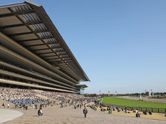 東京競馬場