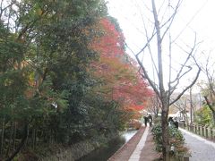 秋だ！京都だ！清水寺の夜間拝観だ！　②いざ銀閣寺へ、哲学の道