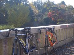 成田山新勝寺で紅葉見物