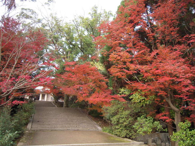 　会合の後、行き当たりばったりで、足の向くままに大急ぎで、由緒ある社寺等片鱗をたずねてきました。<br />　功山寺の紅葉は盛でした