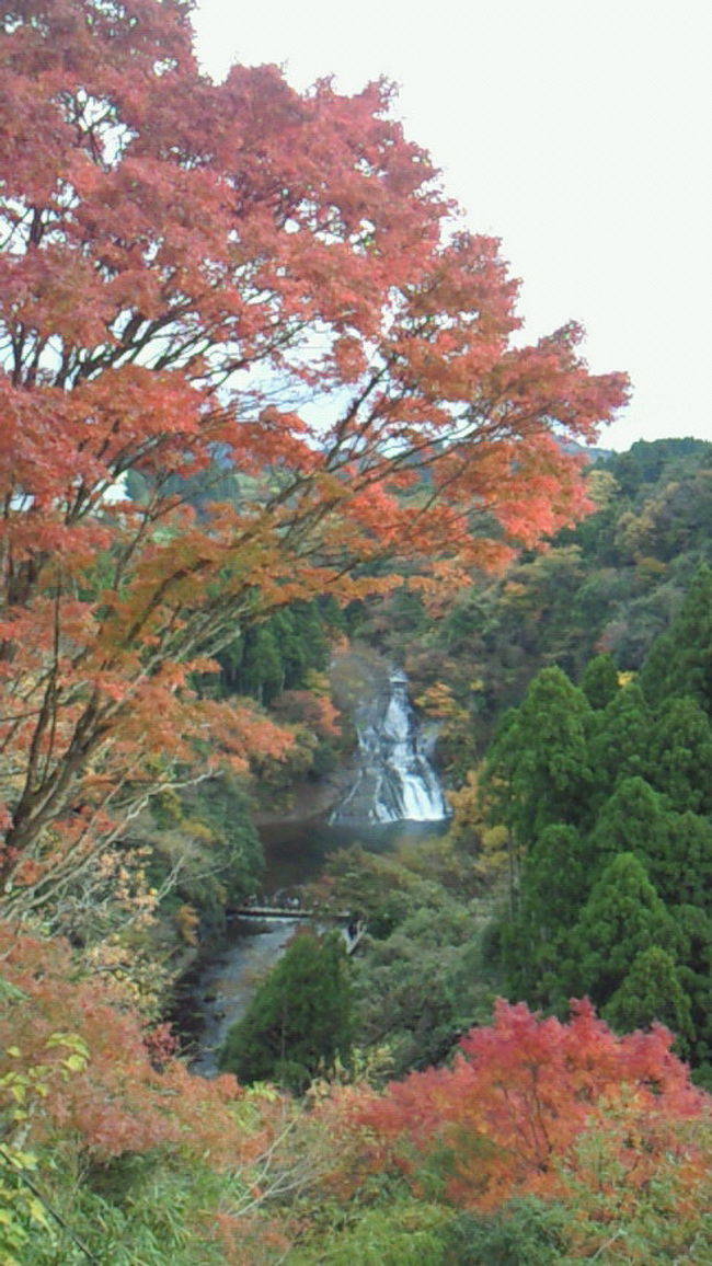 2009.11出張で帰国中の夫と紅葉狩りへ。平日午後に休暇を取って千葉県の養老渓谷に行ってきました。