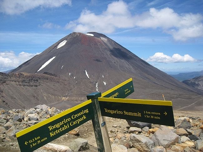 昨年（2008年）末にNZ北島を旅したときの旅行記です。<br />まずは、トンガリロ国立公園のトランピング記事から。<br /><br />☆トランピングとは☆<br />「てくてく歩く」という感じの意味で、ハイキングやトレッキング、登山などをひっくるめたNZ流の言い回しです。<br />自然の中を歩くのを楽しむことを目的としているので、スポーツというよりレジャーに近い感じ。<br />NZのあちこちに、ビギナーから上級者向けまでいろいろなコースが整備されているので、自分のレベルや目的にあわせて、「てくてく歩き」が楽しめます。<br />NZの魅力はやっぱり大自然！それを味わうのには、自分で歩くのが一番！<br />ぜひ、時間がある方は「NZでトランピング」に挑戦してみてください♪<br /><br />ちなみに、トランピングはニュージーランドの国技といってもいいほどポピュラーで、子供からお年寄りまでみんなよく歩きます。<br /><br /><br />＋＋＋＋＋＋＋＋＋＋<br /><br />日帰りのトランピングコースとしてNZで一番人気を誇る「トンガリロ・アルパイン・クロッシング」を歩いてきました！<br />全長18.5キロ、片道縦走のみのコースです。<br /><br />途中、美しい山の風景はもちろん、荒々しいクレーターや美しいエメラルドの湖などを見ることができ、またキツイ登りや森林の中をのんびり歩きありと、とても変化にとんだコースです。<br /><br />本格的なトランピングは初めて！の私たちでも（途中ちょっぴりヘバりつつ）7時間で無事に歩ききりましたよ〜。<br /><br />軽装で歩いている人もいましたが、やっぱり山歩きなのできちんとした装備が必要だと思います。<br /><br />※この旅行記のあと、トンガリロで小規模な噴火があり、トランピングルートが少し変更になったようです。<br />（グリーンレイク以降の下りの道が少し迂回路になったとのこと）<br />見える景色や必要な体力、装備など、この旅行記とそれほど<br />大きな変更は無いと思いますが、一応、記載しておきます。<br />きちんと確認した情報でなくてすみません。