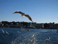 静岡★カモメ飛びかう浜名湖クルーズ