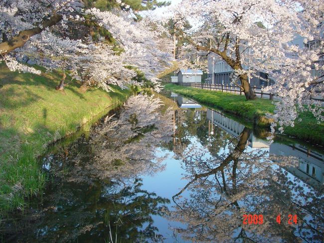 八戸を出発し十和田湖を通って弘前へ。天気にも恵まれ、ちょうど満開の桜を見ることが出来ました。翌日は近くの「津軽富士見湖」へ。ここから見る岩木山はなかなかの絶景。