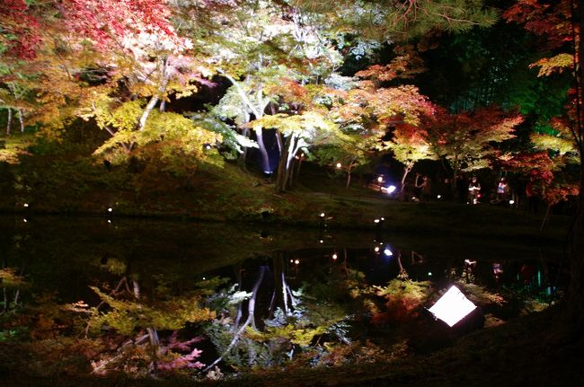 高台寺のライトアップは一見の価値ありです。訪れるのは2度目ｔなりますが、ライトアップされた絶景が映りこんだ偃月池は、本当に神秘的です。<br />※ライトアップは10月23日から12月6日まで