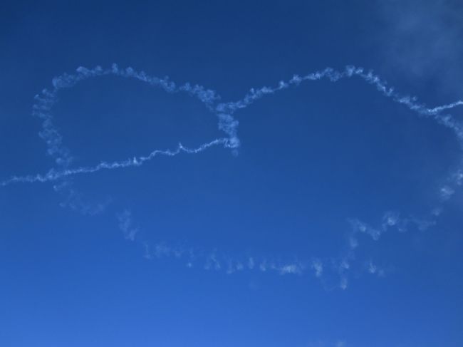 初めて航空際というものも行ってきた。基地に入るのも初めてだけど戦闘機見るのも初めて。