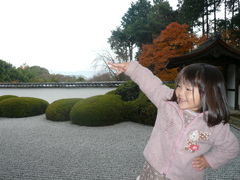 紅葉の京都-2009-