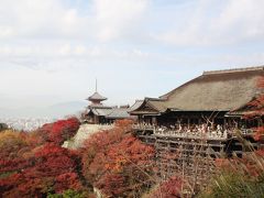 ２００９年京都紅葉情報１５（清水寺から知恩院）