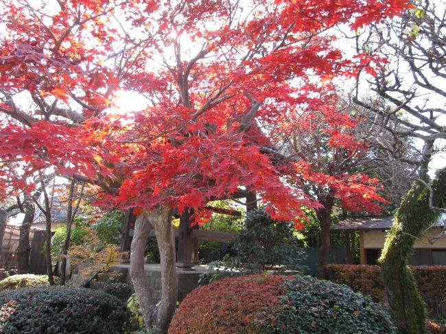川口の興禅院は紅葉で有名です。天文15年(1546)に創建されています。興禅院のそばにある小林もみじ園も見ごたえがあります。色とりどりの紅葉が楽しめます。