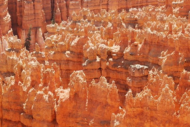 Bryce Canyon National Park　（２００９年夏の旅行記）