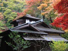 三溪園2009秋・紅葉