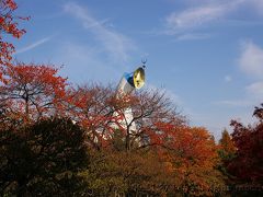 256万博公園の晩秋